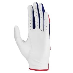 Nike Golf Glove - Tech Extreme VII - Stars & Stripes 2023 -Fashion Golf cv1279 117 nike golf glove tech extreme vii 01