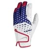 Nike Golf Glove - Tech Extreme VII - Stars & Stripes 2023 -Fashion Golf cv1279 117 nike golf glove tech extreme vii 02