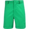 Jordan Golf Shorts - DF Diamond Shorts - Lucky Green SU23 -Fashion Golf jordan golf shorts df diamond shorts lucky green su23 dz0557 310 67